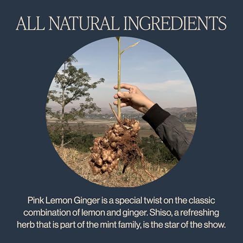 Rishi Tea Pink Lemon Ginger Organic Herbal Tea, 15 Count (Pack of 6)