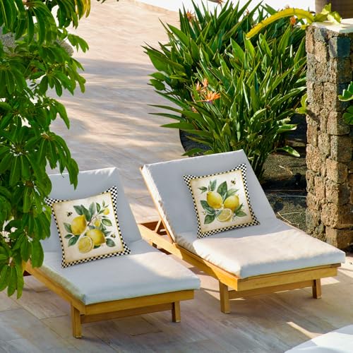 Lemon Decorative Pillow Covers 18x18 Inch Set of 2 - Black Plaid