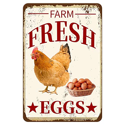 Farm Fresh Eggs Metal Sign - 8x12 Retro Wall Decor