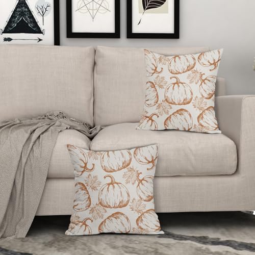 18x18 Inch Set of 2 Burnt Orange Pumpkin Print Pillow Covers