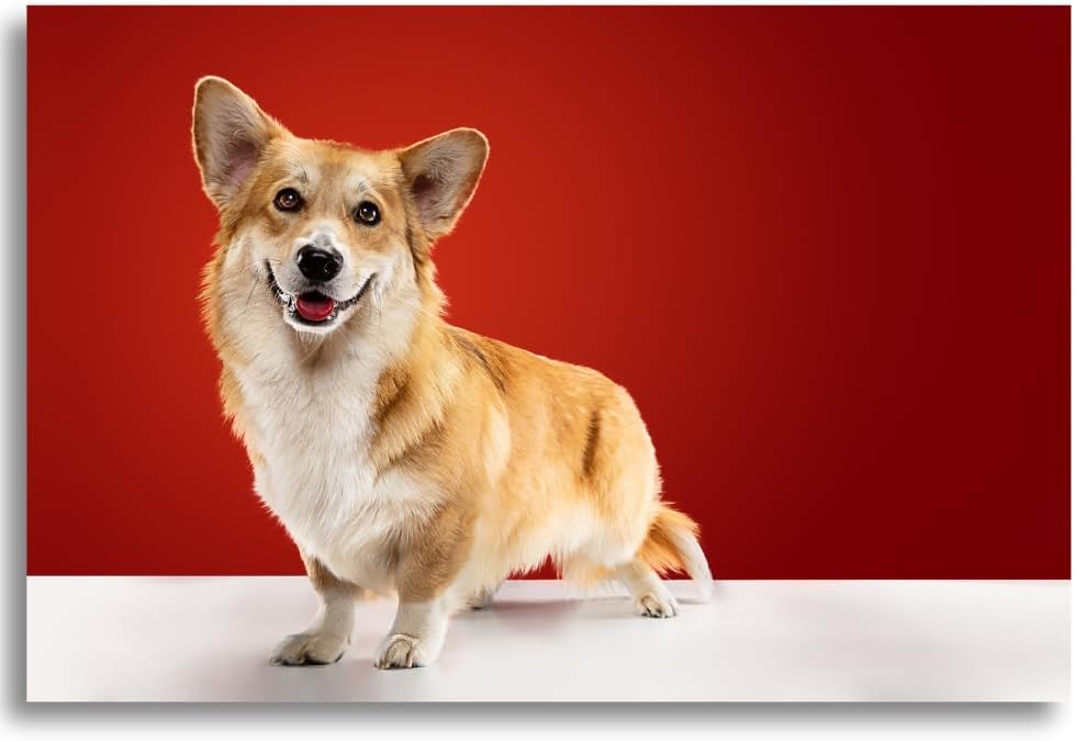 Photo Print - Custom Sizes 3.5x5 to 13x19 Inches | Premium Quality Glossy or Matte Paper