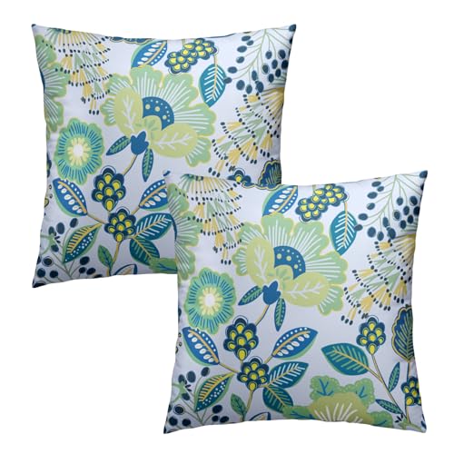 Phthalorum Chinoiserie Floral Pillow Covers, Teal Green 18x18 Set of 2