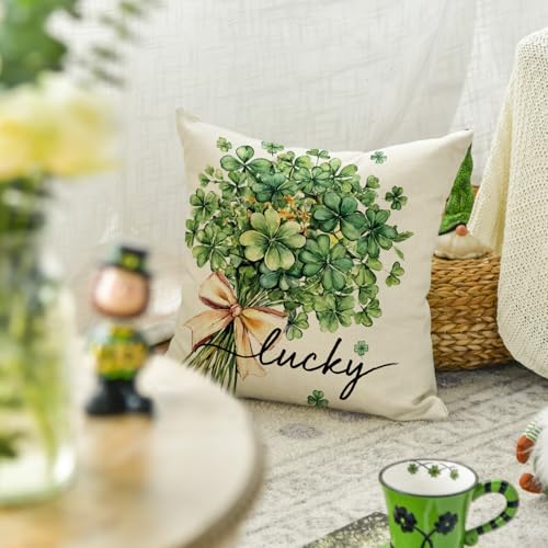 AVOIN colorlife St Patrick's Day Lucky Clovers Throw Pillow Cover 18x18 Inch Shamrock Cushion Case for Sofa Couch - Variation 1