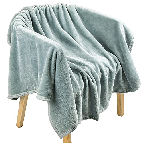EIUE Flannel Fleece Throw Blanket, Ultra Soft Lightweight Bed Cover - Green Grey, 40x60