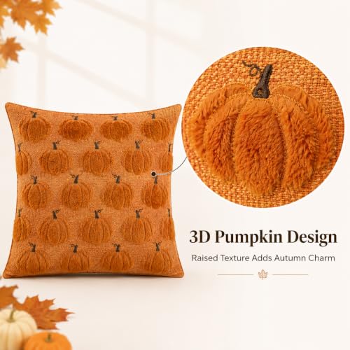 HOSHEN HOME Orange 3D Pumpkin Fall Pillow Covers - 18x18 Set of 2