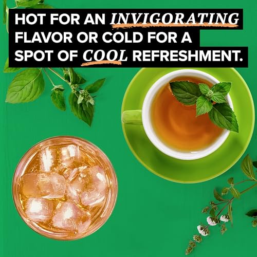 TAZO Organic Refresh Mint Herbal Tea Bags - Caffeine Free 16 Count