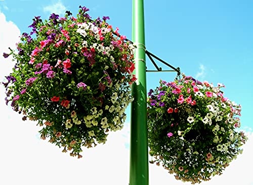 Soil Moist Water Storing Mats for Hanging Baskets and Containers 6-Pack