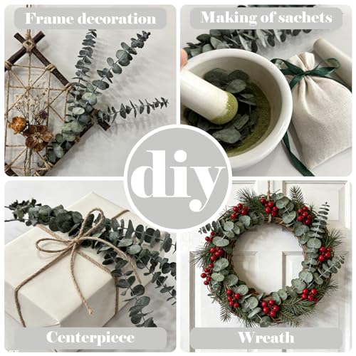 12 PCS Preserved Eucalyptus Stems - 17” Natural Aromatic Decor