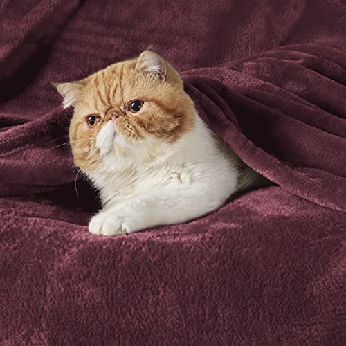 Bedsure GentleSoft Fleece Blanket Twin Size Wine Red - 300GSM Plush Cozy 60x80 inches