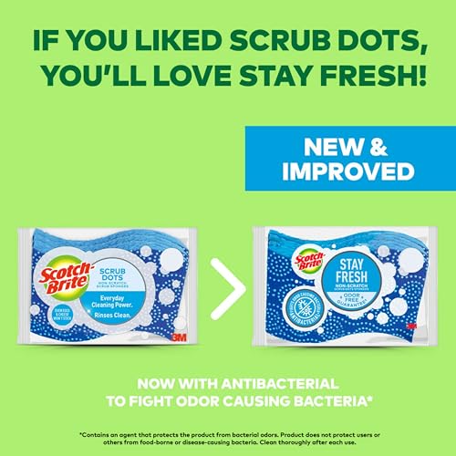 Scotch-Brite Non-Scratch Scrub Dots Sponge Pack of 2 (3 Sponges)