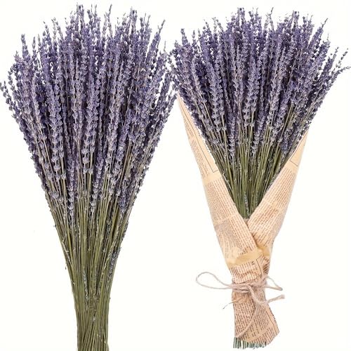 100+ Natural Dried Lavender Flowers Bundle for Home Decor