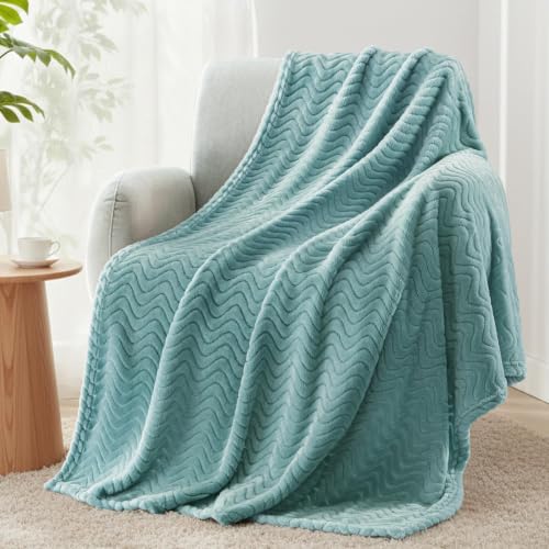 Exclusivo Mezcla Celadon Large Fleece Throw Blanket for Couch & Sofa 50x70 in