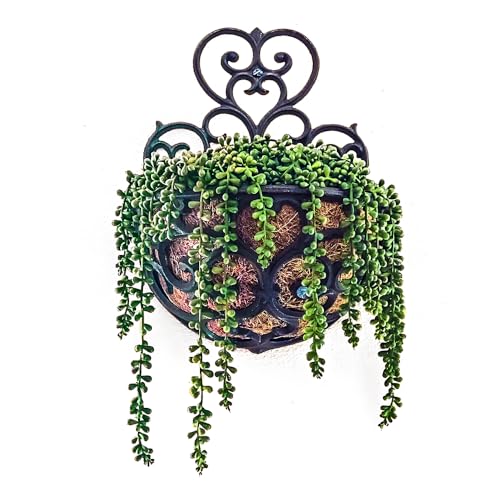 Artificial String of Pearls Plant - 3pcs Faux Hanging Succulents