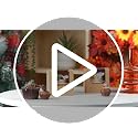 NPLUX Brown 25 Pack Pre-Assembled Cupcake Boxes with Inserts for Baking & Gifts