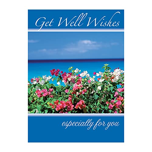 Get Well Soon Card Set - 12 Floral & Landscape Greeting Cards