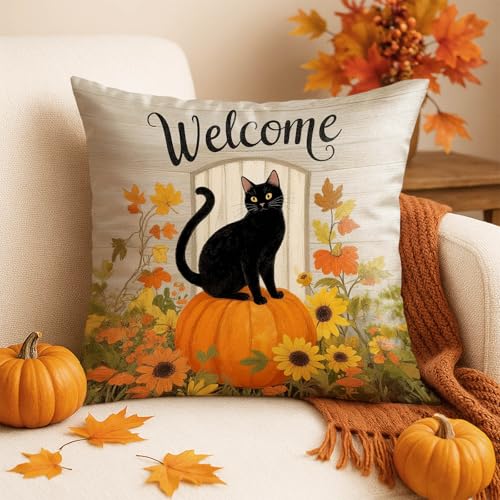 Set of 2 Fall Black Cat Pumpkin Pillow Covers - 18x18 Inch Double-Sided