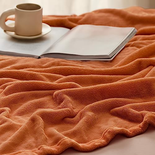 Bedsure King Size Fleece Blanket - Soft, Lightweight & Cozy