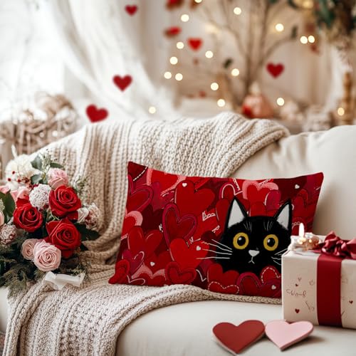 Valentine's Day Cat Pillow Cover - 12x20 Inch Red Heart Decor