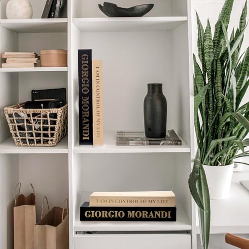 Dark Blue & Beige Decorative Faux Book Set - 2 Piece Storage