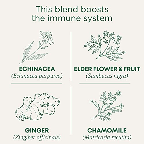 Traditional Medicinals Organic Echinacea Plus Elderberry Tea, 32 Tea Bags