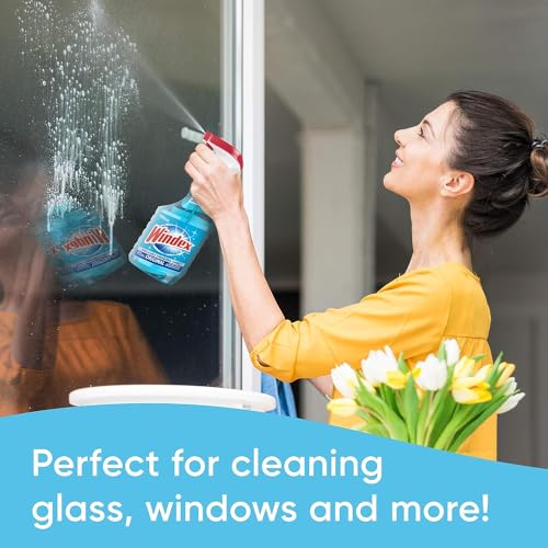 Pledge Multi Surface Cleaner & Windex Glass Cleaner Set - 2 Count