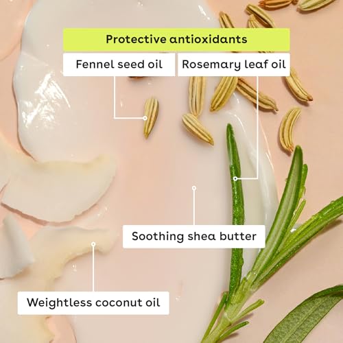 eos 100% Natural Coconut Milk Lip Balm - All-Day Moisture 0.25 oz