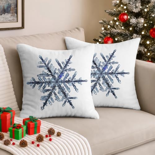 Emvency Christmas Snowflake Throw Pillow Covers 20" x 20" (Set of 2)