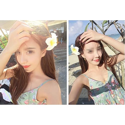 10 Pcs Plumeria Flower Hair Clips Foam Hawaiian Beach Hair Barrette
