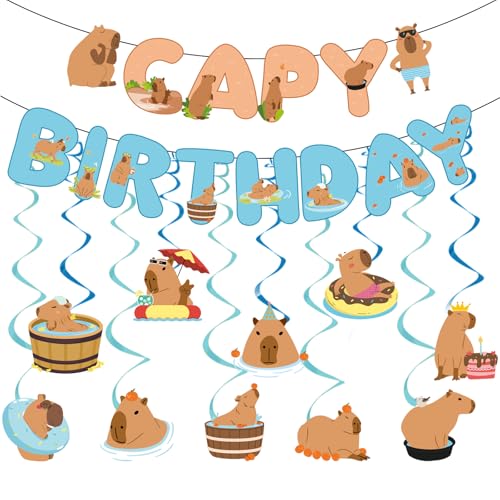 Capybara Birthday Party Decorations Set - 10-Piece Banner and Swirl Kit