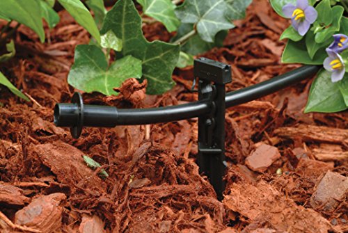 Rain Bird 1/4" Drip Irrigation Stakes with Bug Cap - 10-Pack