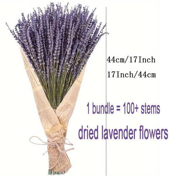 100+ Natural Dried Lavender Flowers Bundle for Home Decor