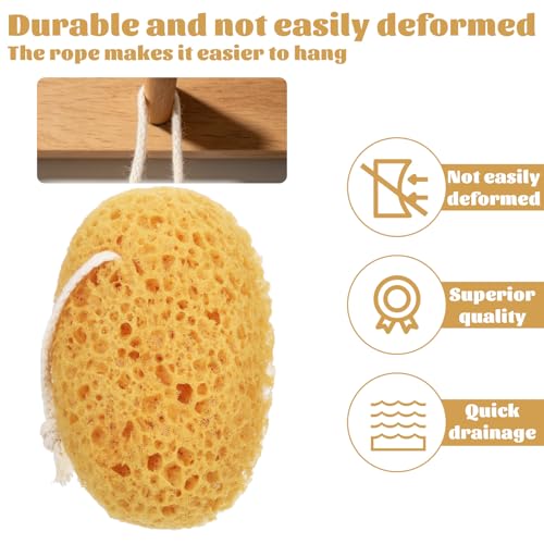 Aphumedc 2-Pack Soft Large Bath Sponges for Shower Exfoliating Body Scrubber
