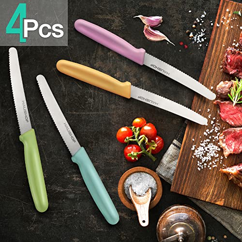 Multicolor HAUSHOF 4-Piece Serrated Steak Knife Set - Premium Stainless Steel with Gift Box
