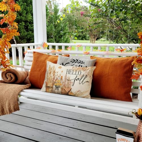 RABUSOFA Fall Throw Pillow Cover 12x20 - Dried Pampas Grass Decor