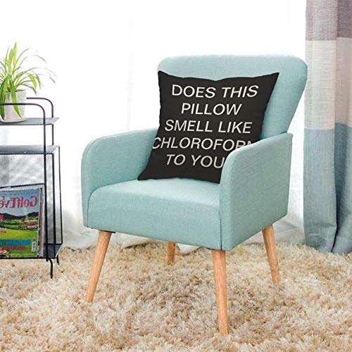 AOYEGO Multi-A6 Chloroform Quote Throw Pillow Cover 18x18 Inch Home Decor