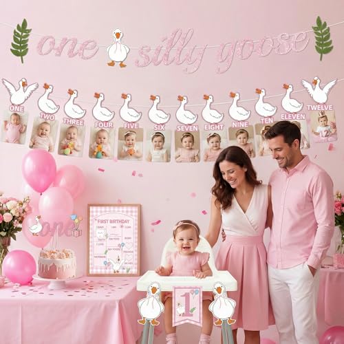 Silly Goose First Birthday Decor Set for Girls - 4 PCS
