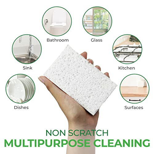AIRNEX Compressed Cellulose Sponges - 16 Pack Natural Non-Scratch Dish Sponge