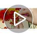 20 Bundles of UV Resistant Artificial Daisy Flowers for Outdoor Decor