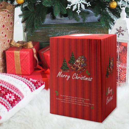 Christmas Snow Globe Lantern Musical with Santa Claus & Elk - 2 Variations