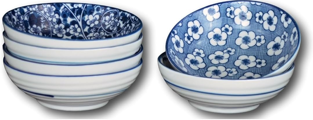 Porcelain Chinese Japanese Bowl Sets with Free 6 Porcelain Spoons, Set of 6