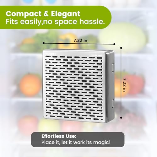 HOMIKE Stainless Steel Refrigerator Deodorizer - 10 Year Odor Eliminator
