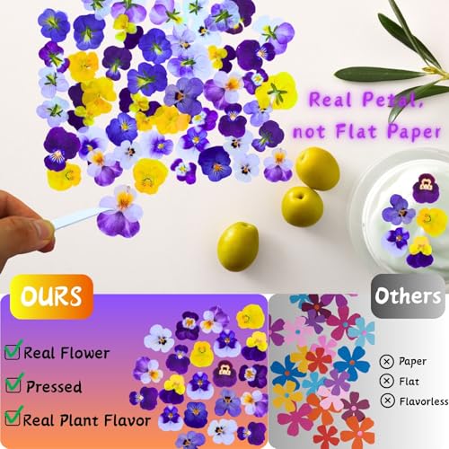 60 Pcs Dried Pressed Edible Viola Flowers Set for DIY Crafts