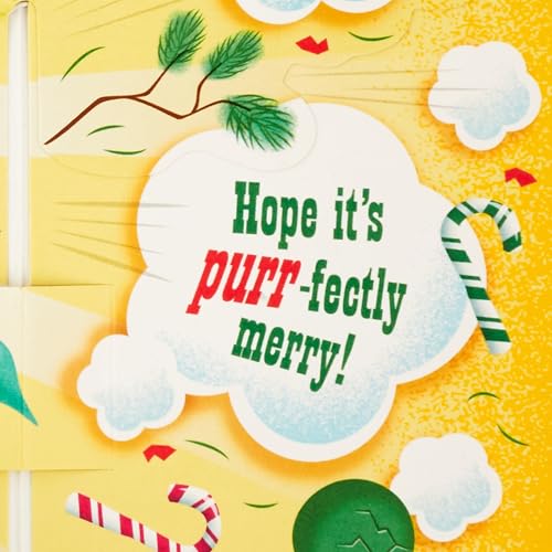 Hallmark Funny Christmas Cat Musical Greeting Card