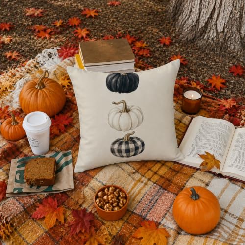 White Pumpkin Fall Pillow Cover 18x18 Inch - Cozy Autumn Sofa Decor Fall10