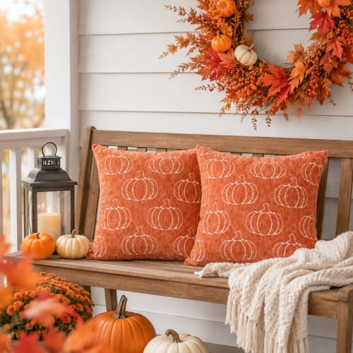 Auomily Fall Pumpkin Chenille Pillow Covers, 18x18, Set of 2, Orange