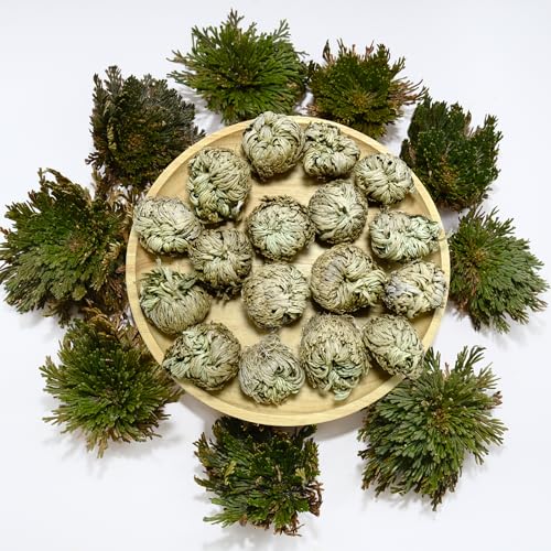 11-Pack Rose of Jericho Resurrection Plants - 1-2 Inch Dried Ferns for Home Decor