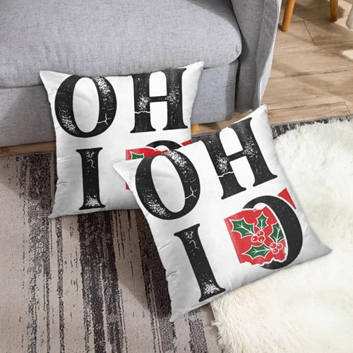 Emvency Ohio Buckeye Vintage Throw Pillow Covers, Set of 2, 18x18