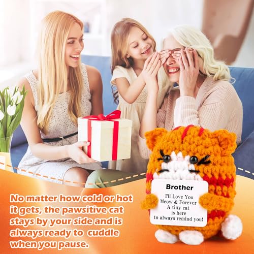 Brother Gift Handmade Crochet Cat Funny Birthday Gift for Brother - Unique Sibling Keepsake