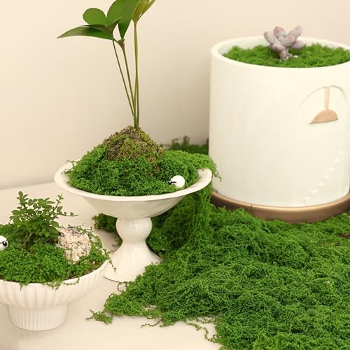 5.3oz Artificial Green Moss for DIY Crafts & Home Decor