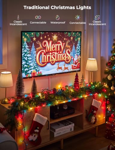 Multicolor Christmas Lights 20FT Incandescent String Lights - 100 Count